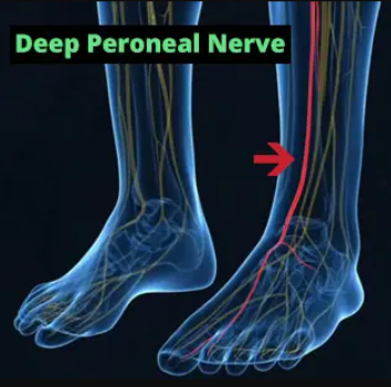 the neuro-balance therapy the neuro-balance therapy