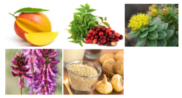 Ingredients List of SonoBliss Drops